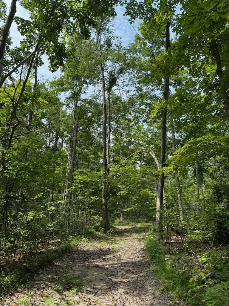 Padgett Road Boyne Falls, MI 49713
