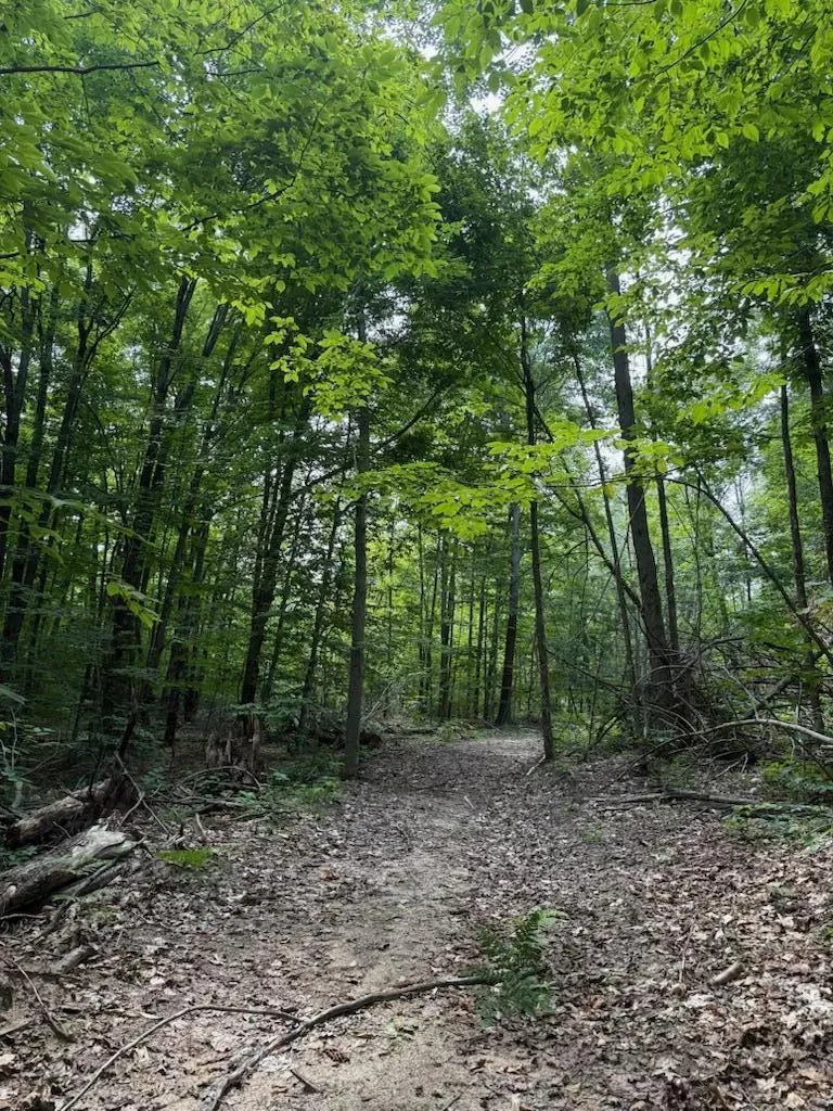 Padgett Road Boyne Falls, MI 49713