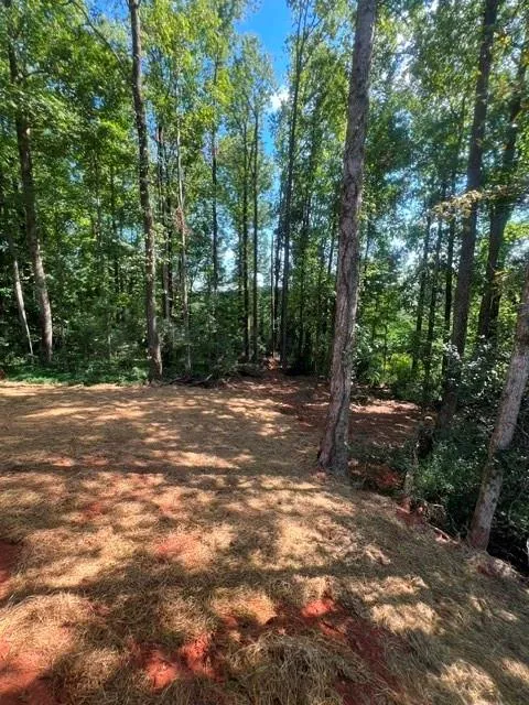 296 Stonington Drive Mount Airy, GA 30563