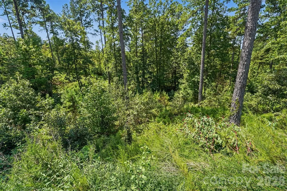 3131 Belford Trail Connelly Springs, NC 28612
