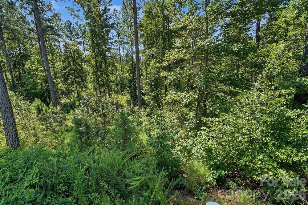 3131 Belford Trail Connelly Springs, NC 28612