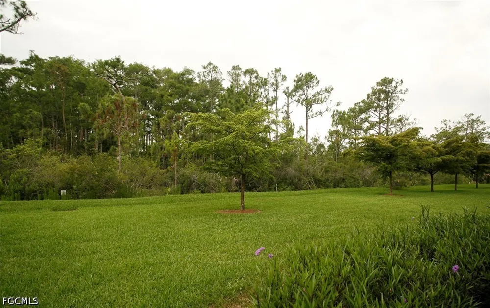 Esteban Drive Fort Myers, FL 33912