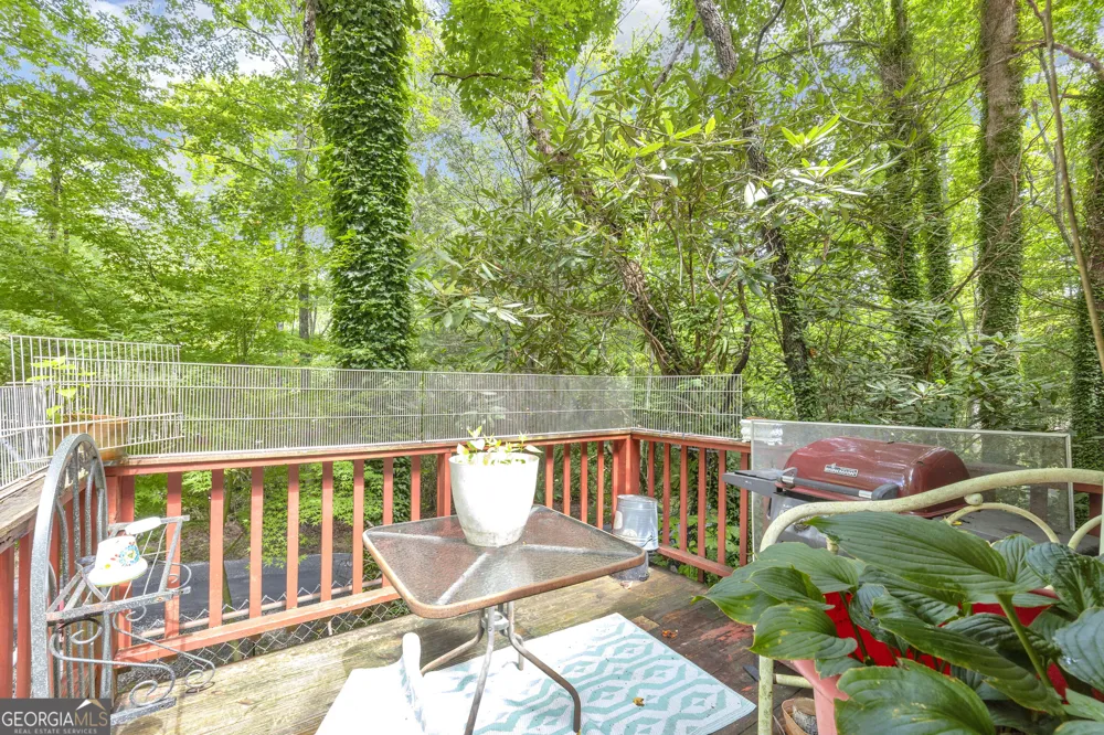 1178 Ruby Lake DR Hiawassee, GA 30546