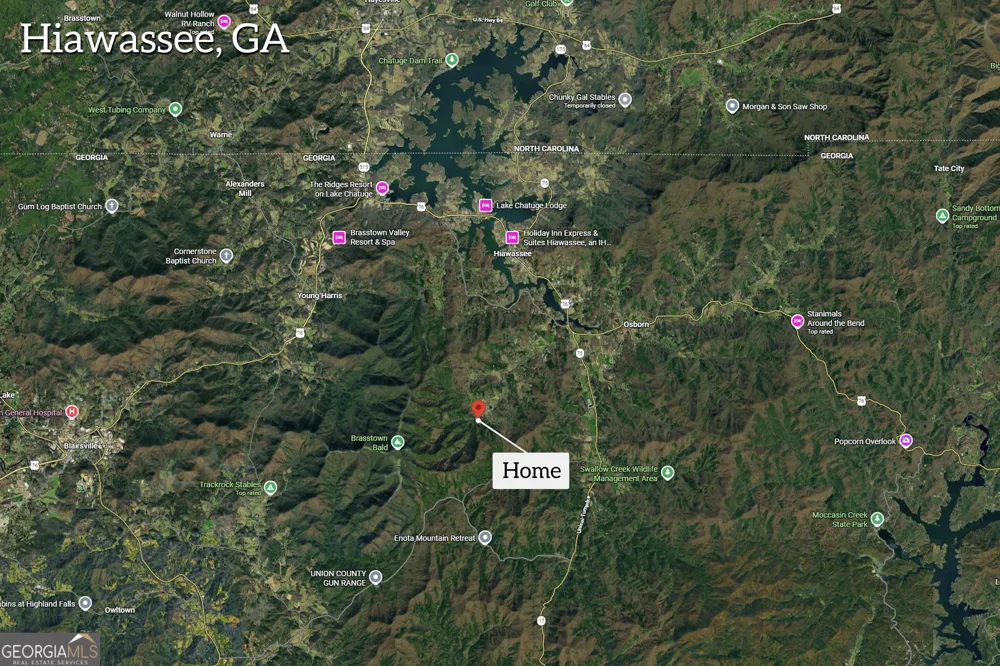 1178 Ruby Lake DR Hiawassee, GA 30546