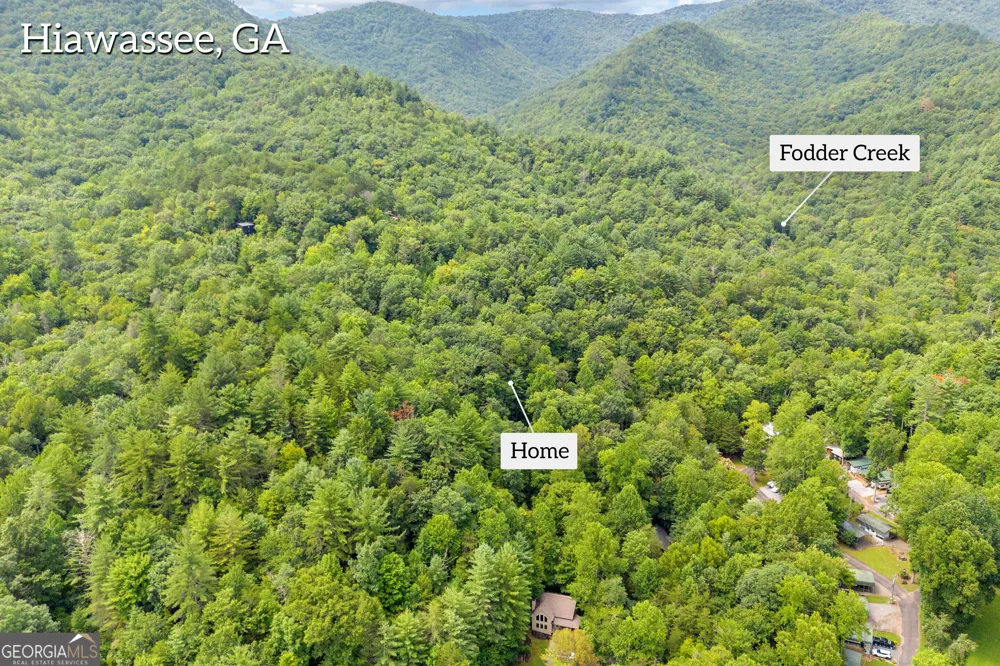 1178 Ruby Lake DR Hiawassee, GA 30546
