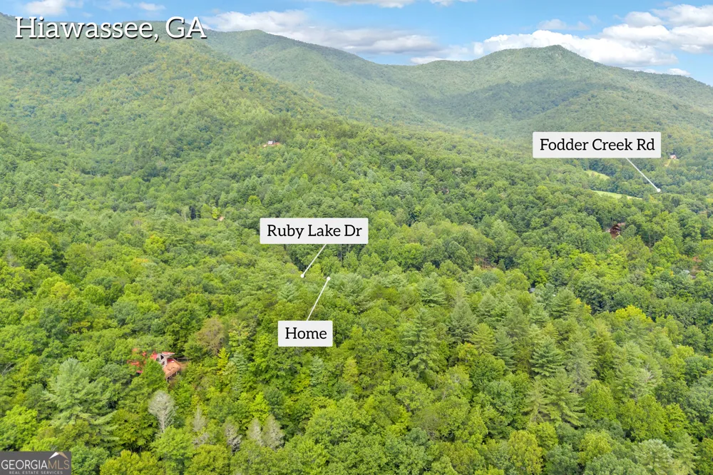 1178 Ruby Lake DR Hiawassee, GA 30546