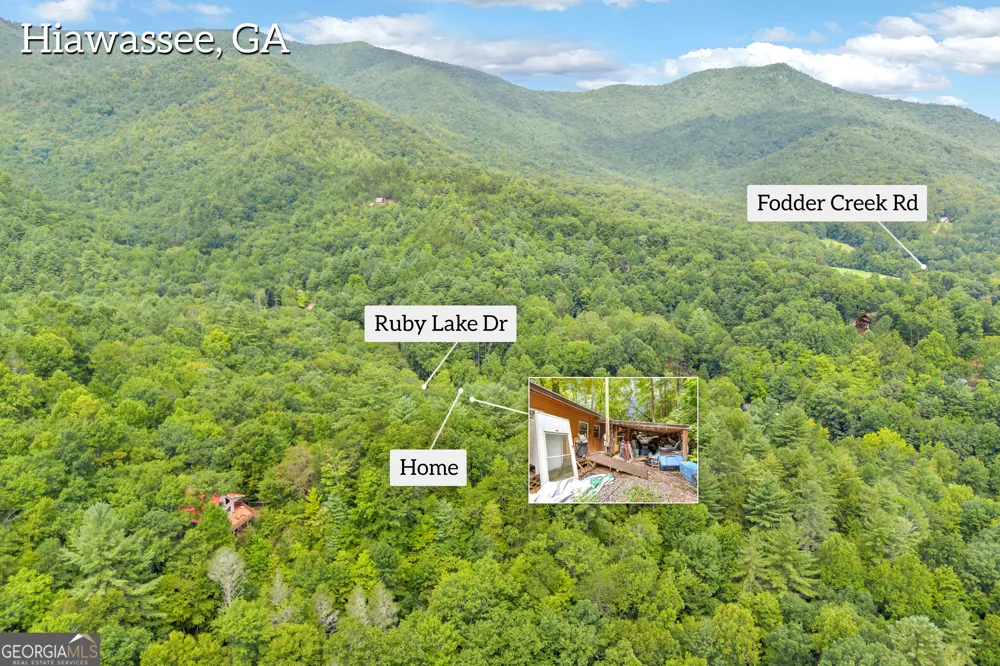 1178 Ruby Lake DR Hiawassee, GA 30546