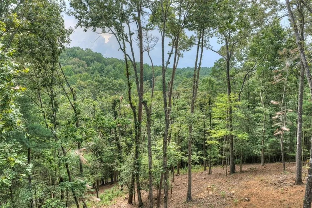 394 Blackberry Circle Ellijay, GA 30536