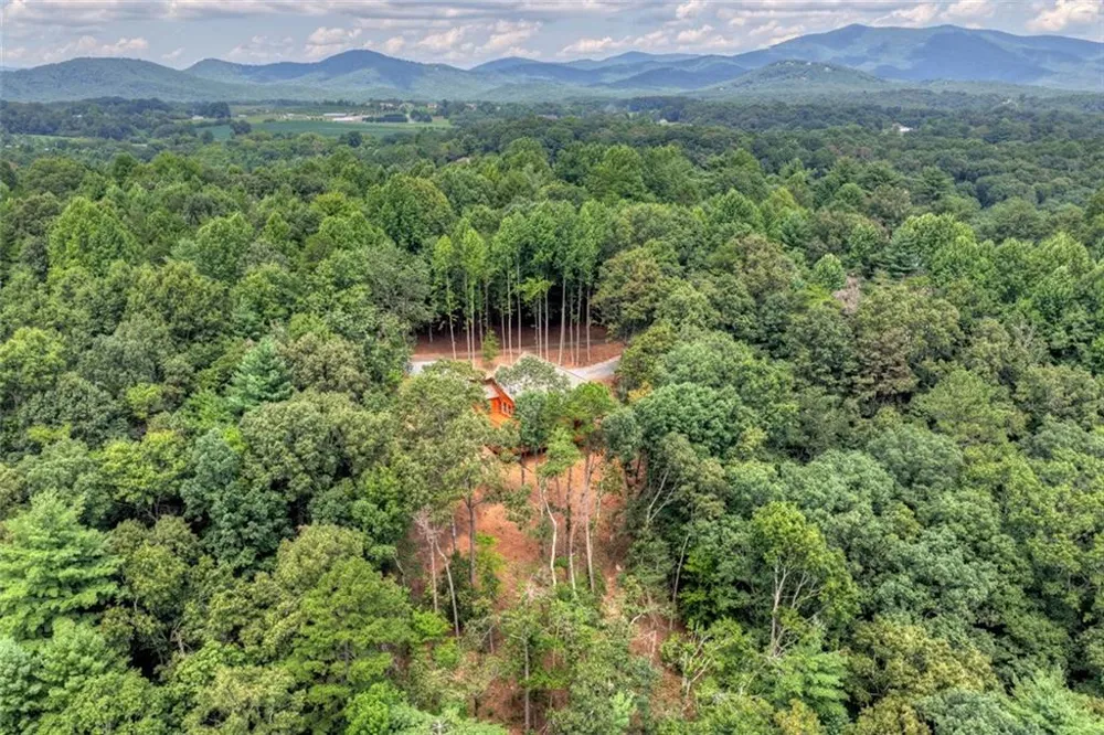 394 Blackberry Circle Ellijay, GA 30536