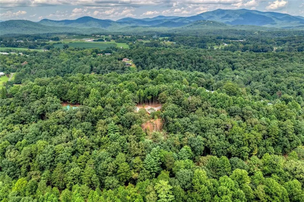 394 Blackberry Circle Ellijay, GA 30536