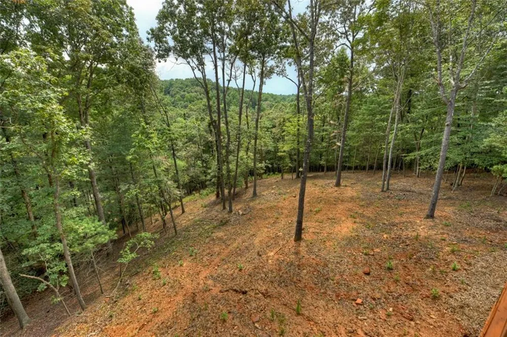 394 Blackberry Circle Ellijay, GA 30536