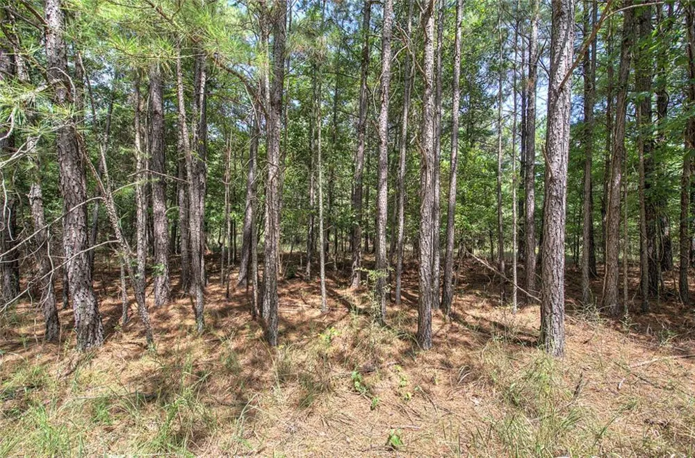 1298 Radio Springs Road SW Rome, GA 30165