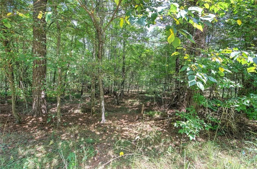 1298 Radio Springs Road SW Rome, GA 30165