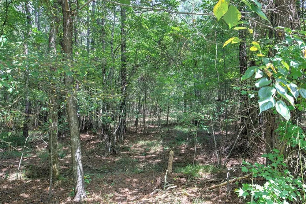 1298 Radio Springs Road SW Rome, GA 30165