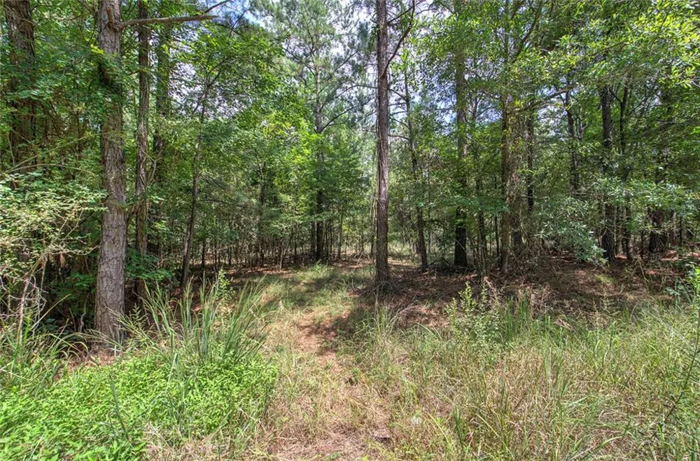 1298 Radio Springs Road SW Rome, GA 30165