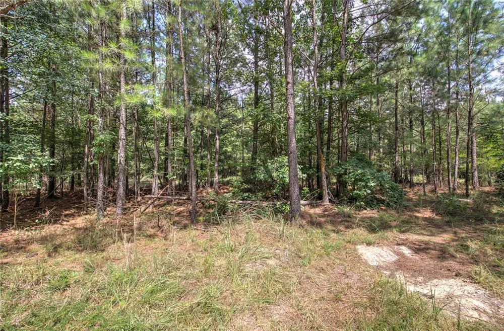 1298 Radio Springs Road SW Rome, GA 30165