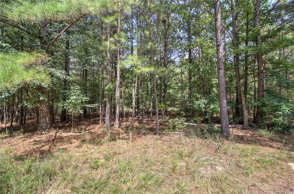 1298 Radio Springs Road SW Rome, GA 30165