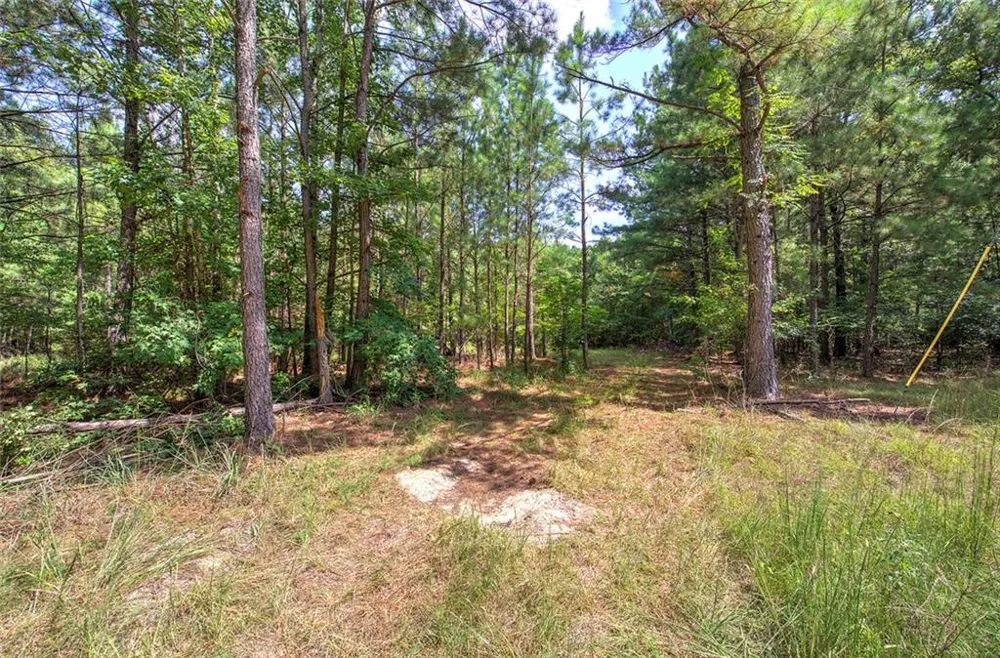 1298 Radio Springs Road SW Rome, GA 30165