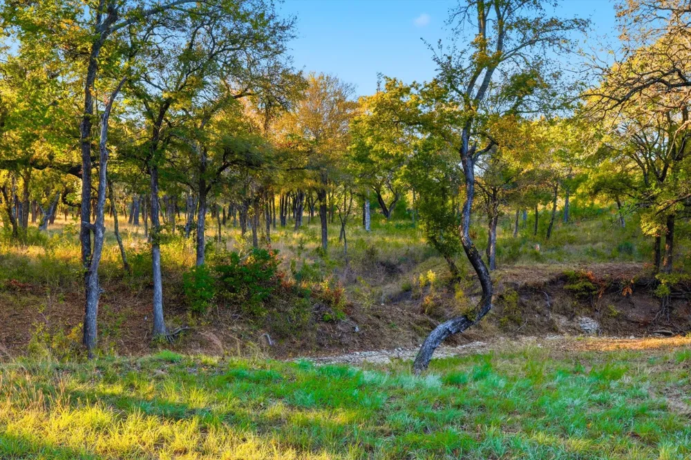 2401 Bear Creek Road Aledo, TX 76008