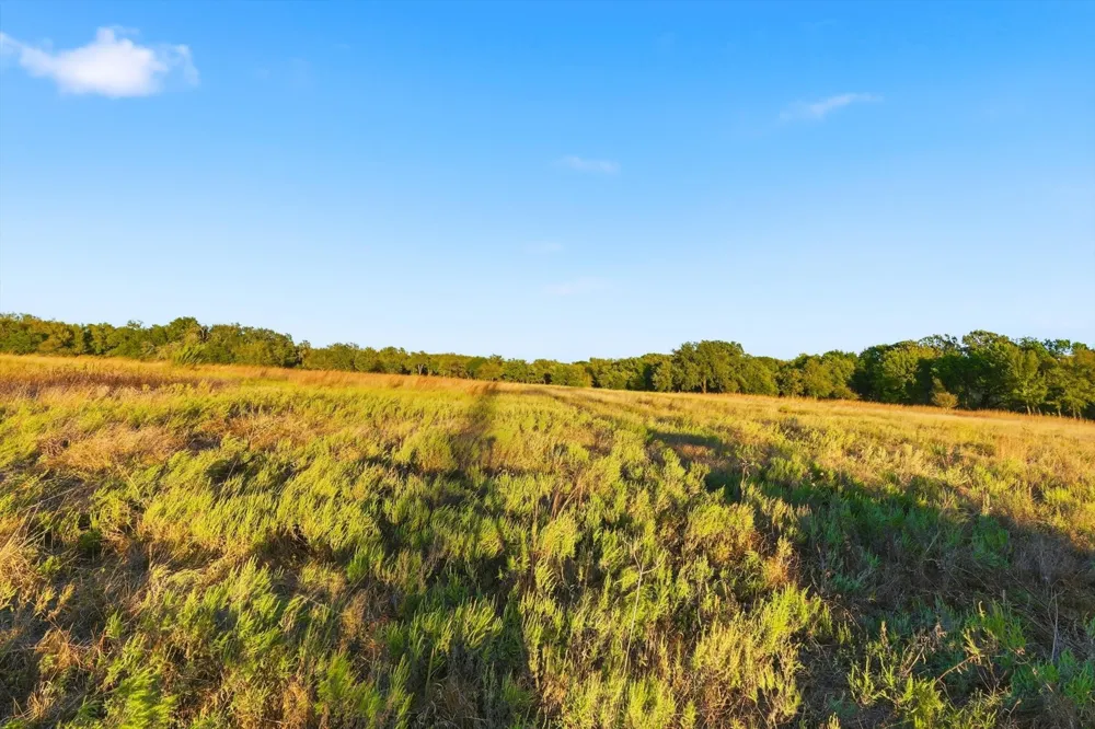 2401 Bear Creek Road Aledo, TX 76008