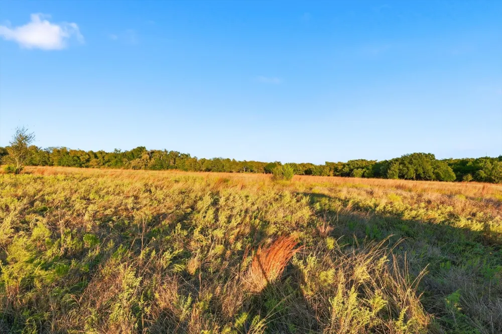 2401 Bear Creek Road Aledo, TX 76008