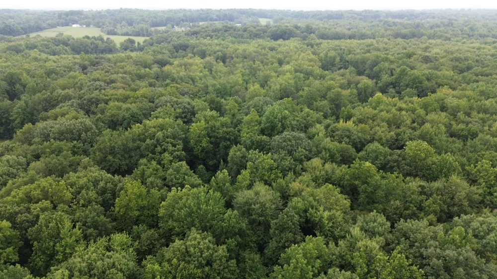 Tharp Lake Road Cassopolis, MI 49031