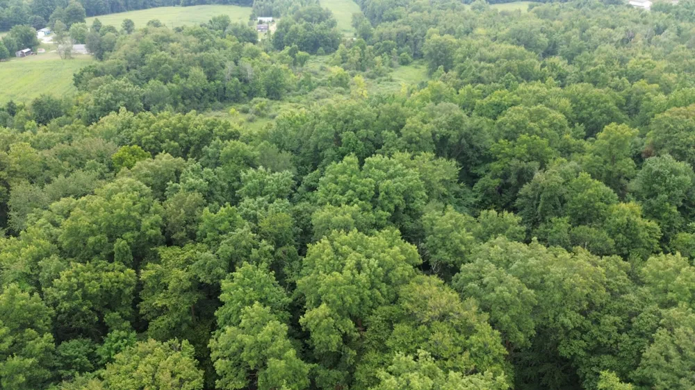 Tharp Lake Road Cassopolis, MI 49031