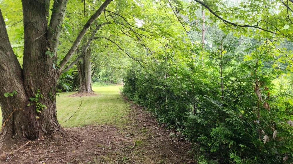 Tharp Lake Road Cassopolis, MI 49031