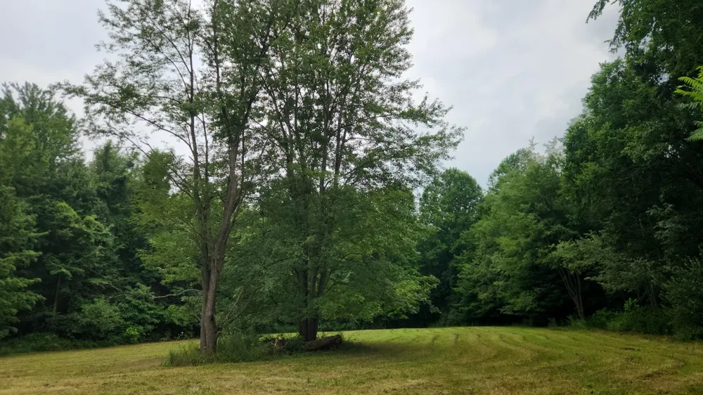 Tharp Lake Road Cassopolis, MI 49031