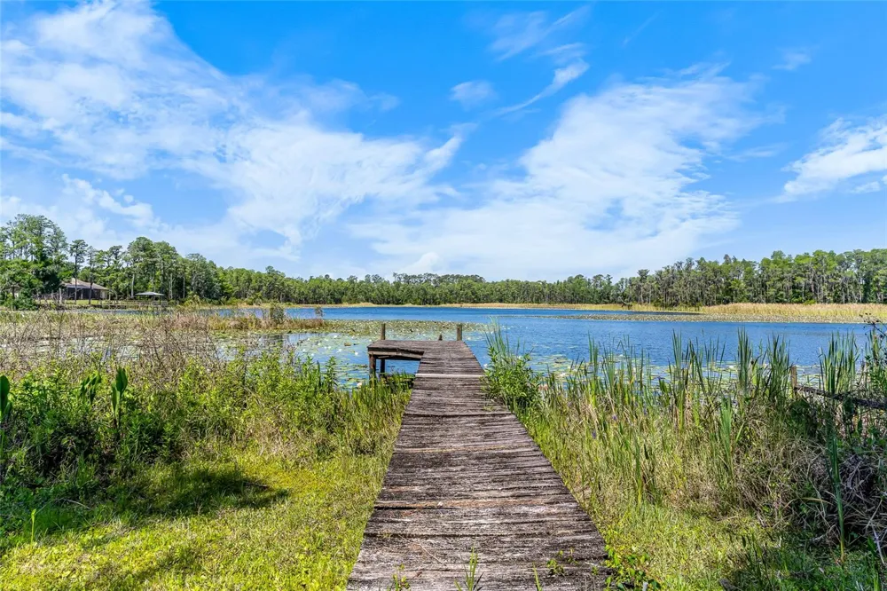 1012 KINGSBOROUGH GARDENS COURT Lutz, FL 33548