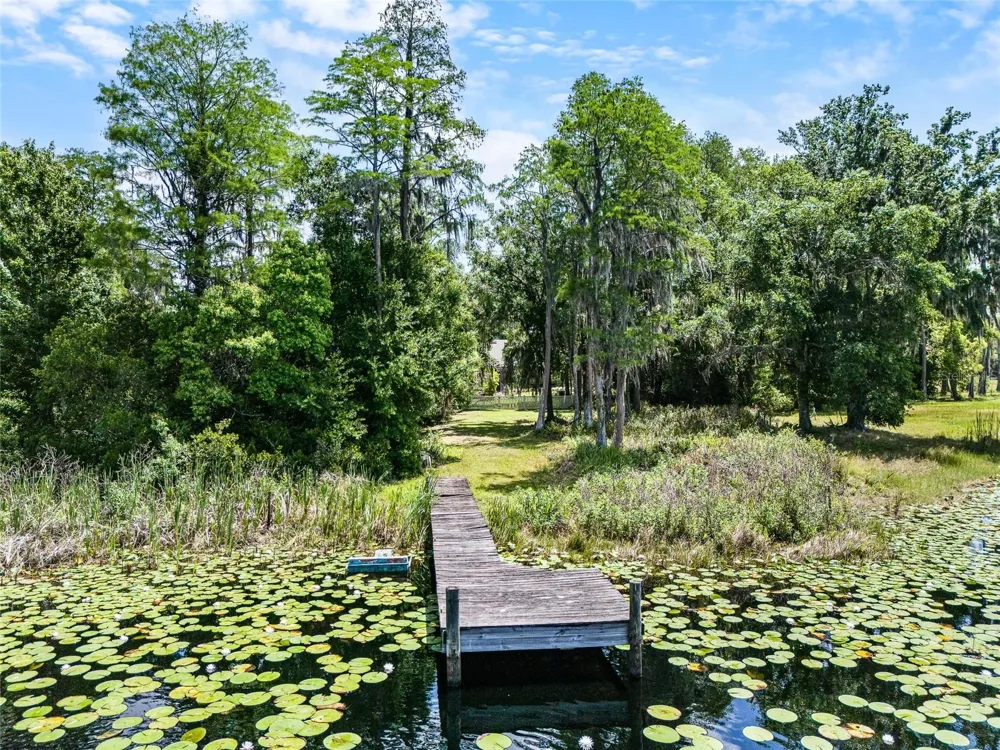 1012 KINGSBOROUGH GARDENS COURT Lutz, FL 33548