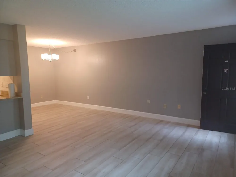 2525 W BAY DRIVE #A12 Belleair Bluffs, FL 33770