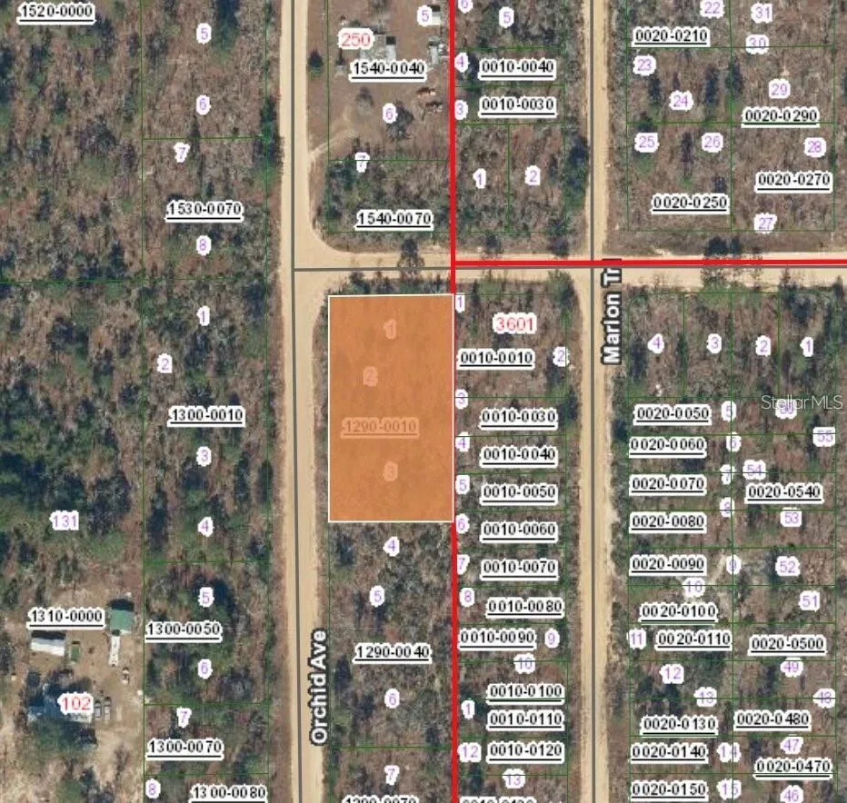 XX ORCHID AVE Interlachen, FL 32148