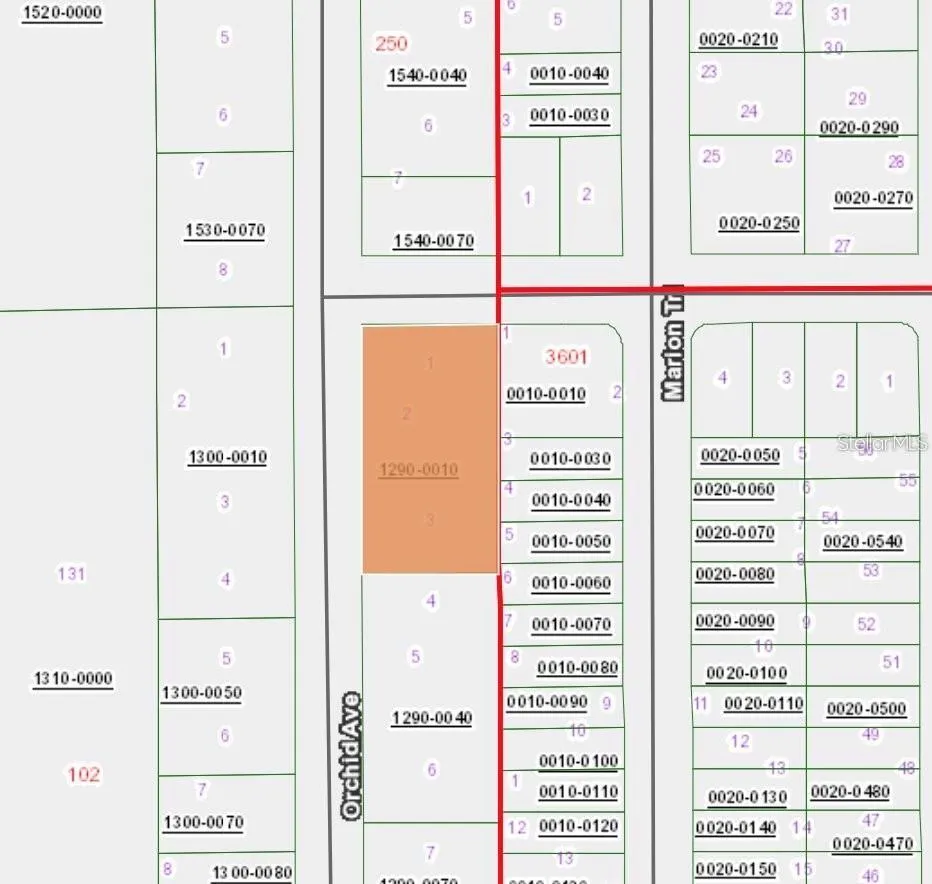 XX ORCHID AVE Interlachen, FL 32148