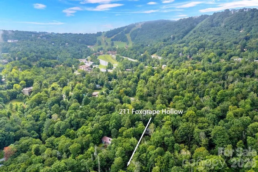 211 Foxgrape Hollow #77 Beech Mountain, NC 28604
