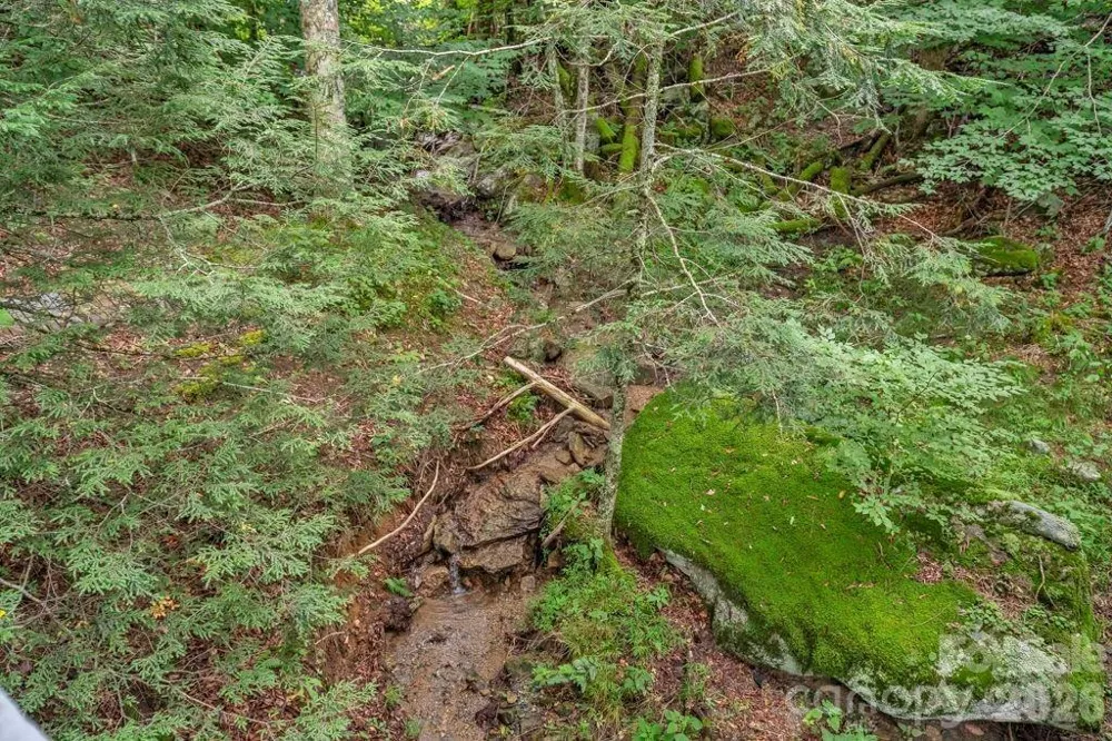 211 Foxgrape Hollow #77 Beech Mountain, NC 28604