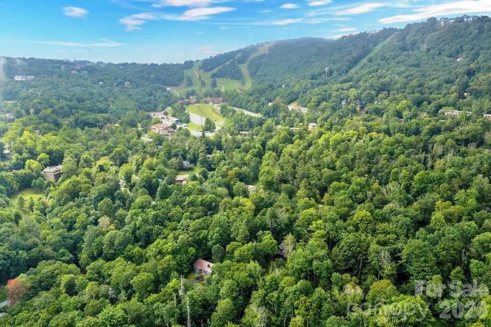 211 Foxgrape Hollow #77 Beech Mountain, NC 28604