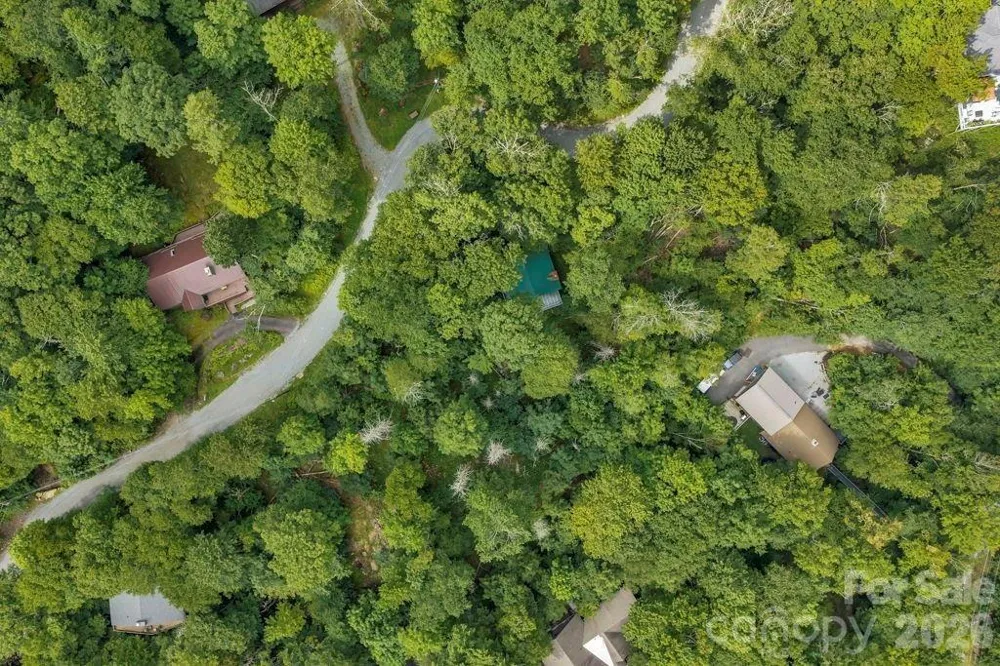 211 Foxgrape Hollow #77 Beech Mountain, NC 28604
