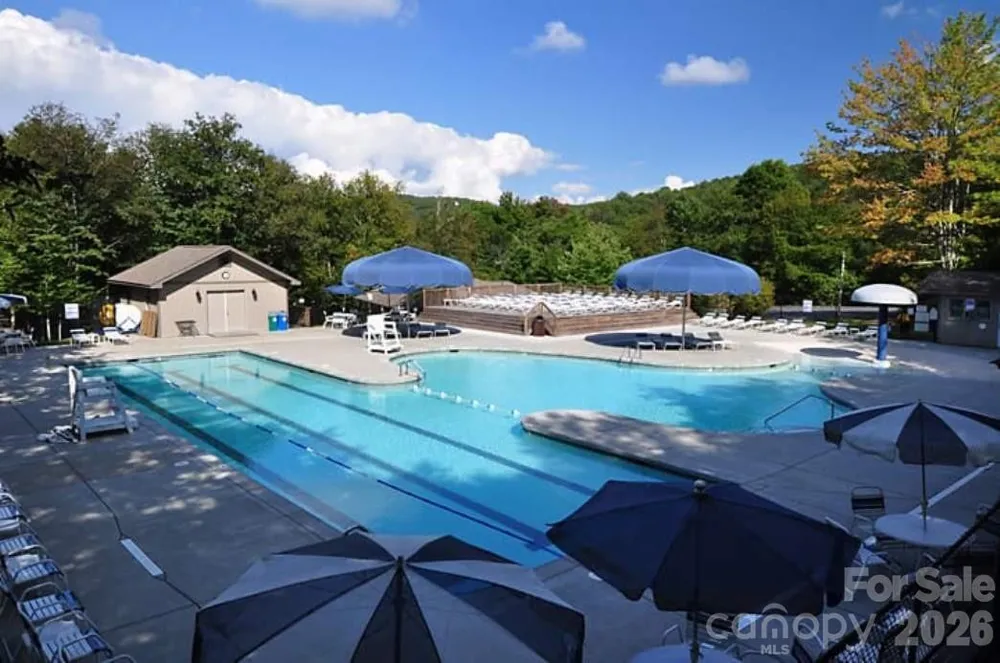 211 Foxgrape Hollow #77 Beech Mountain, NC 28604
