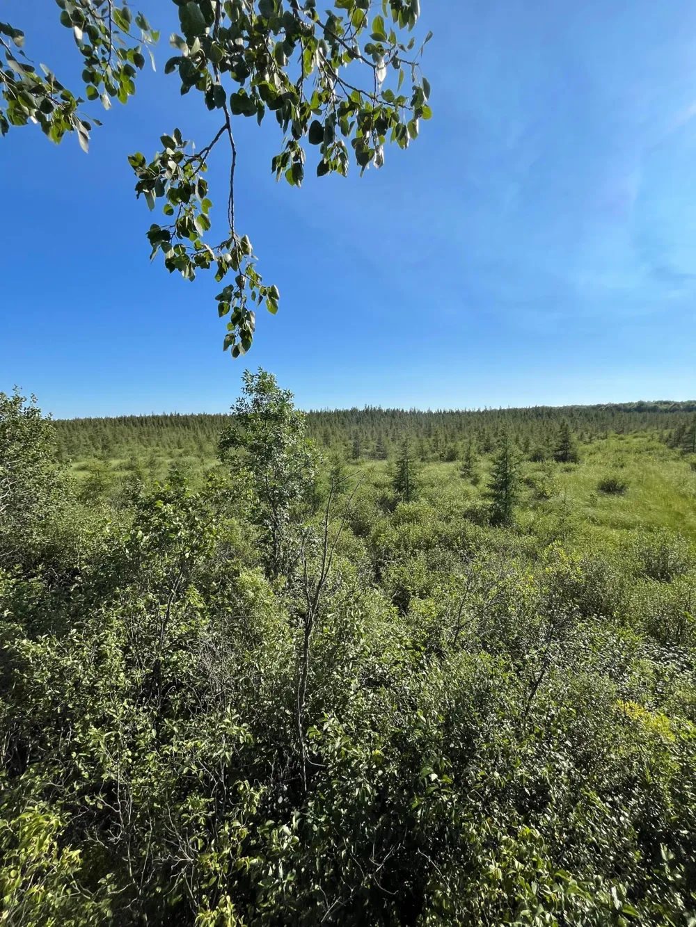 xxx U S Hwy 169 Aitkin, MN 56469