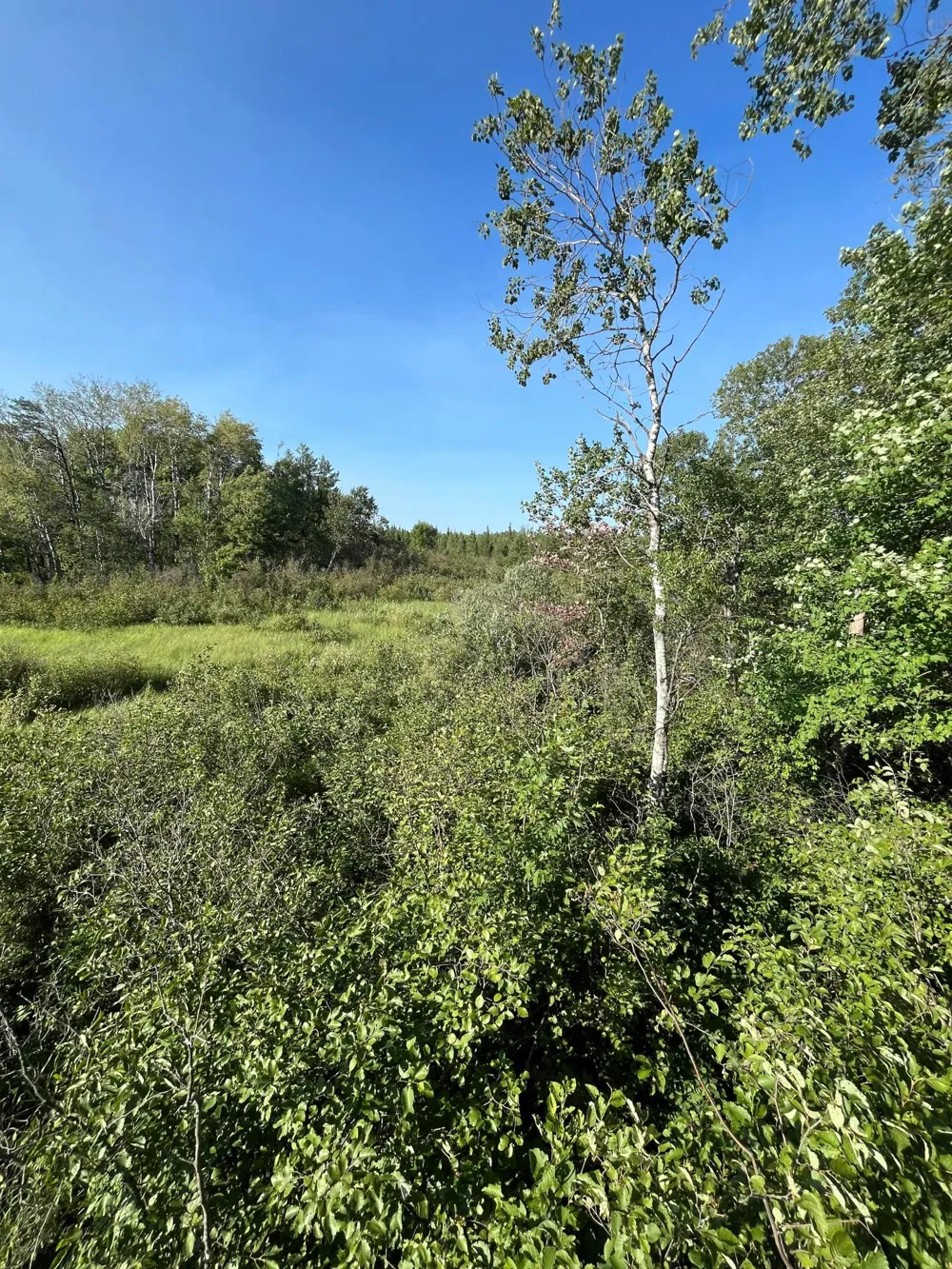 xxx U S Hwy 169 Aitkin, MN 56469