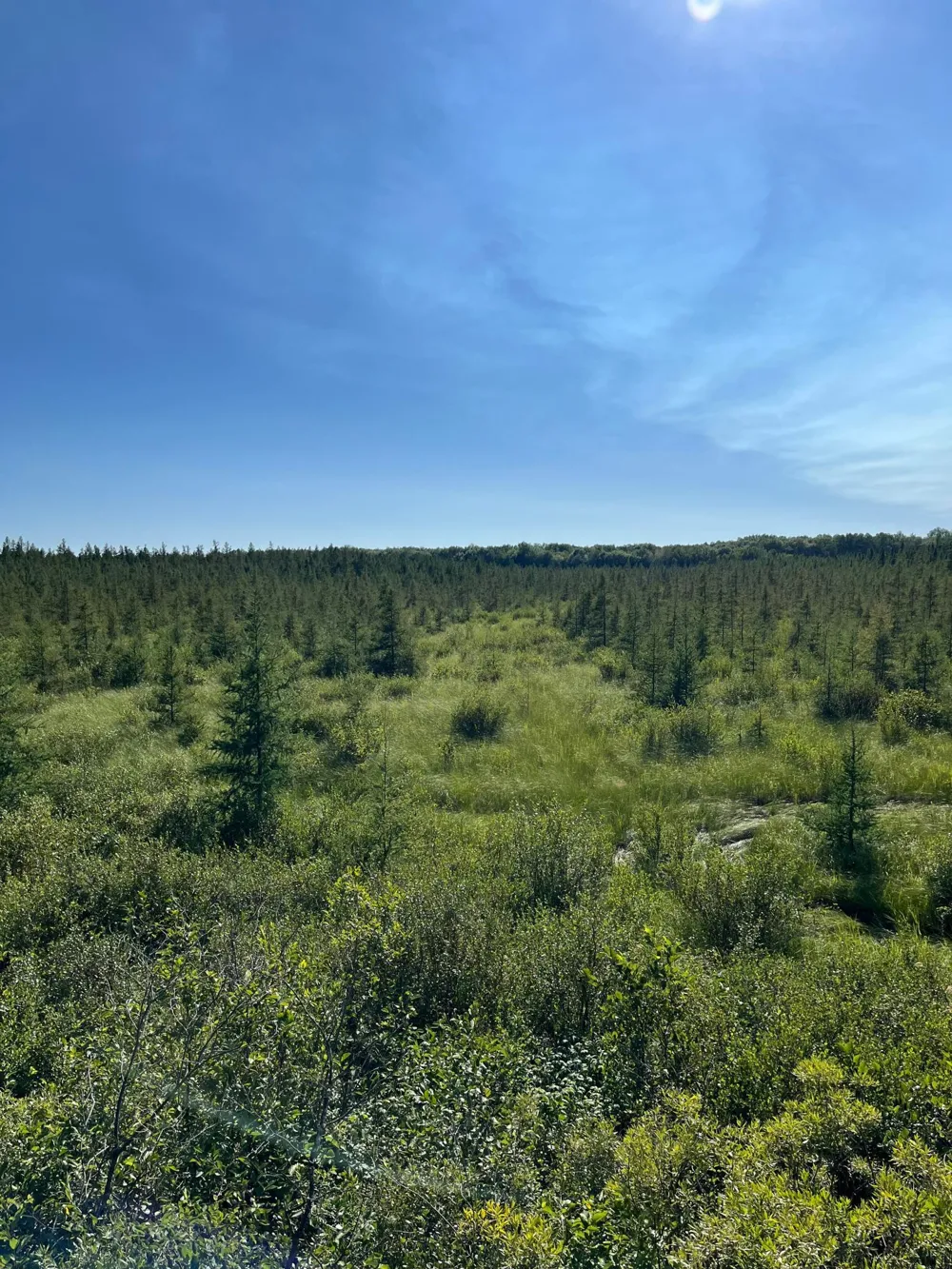 xxx U S Hwy 169 Aitkin, MN 56469