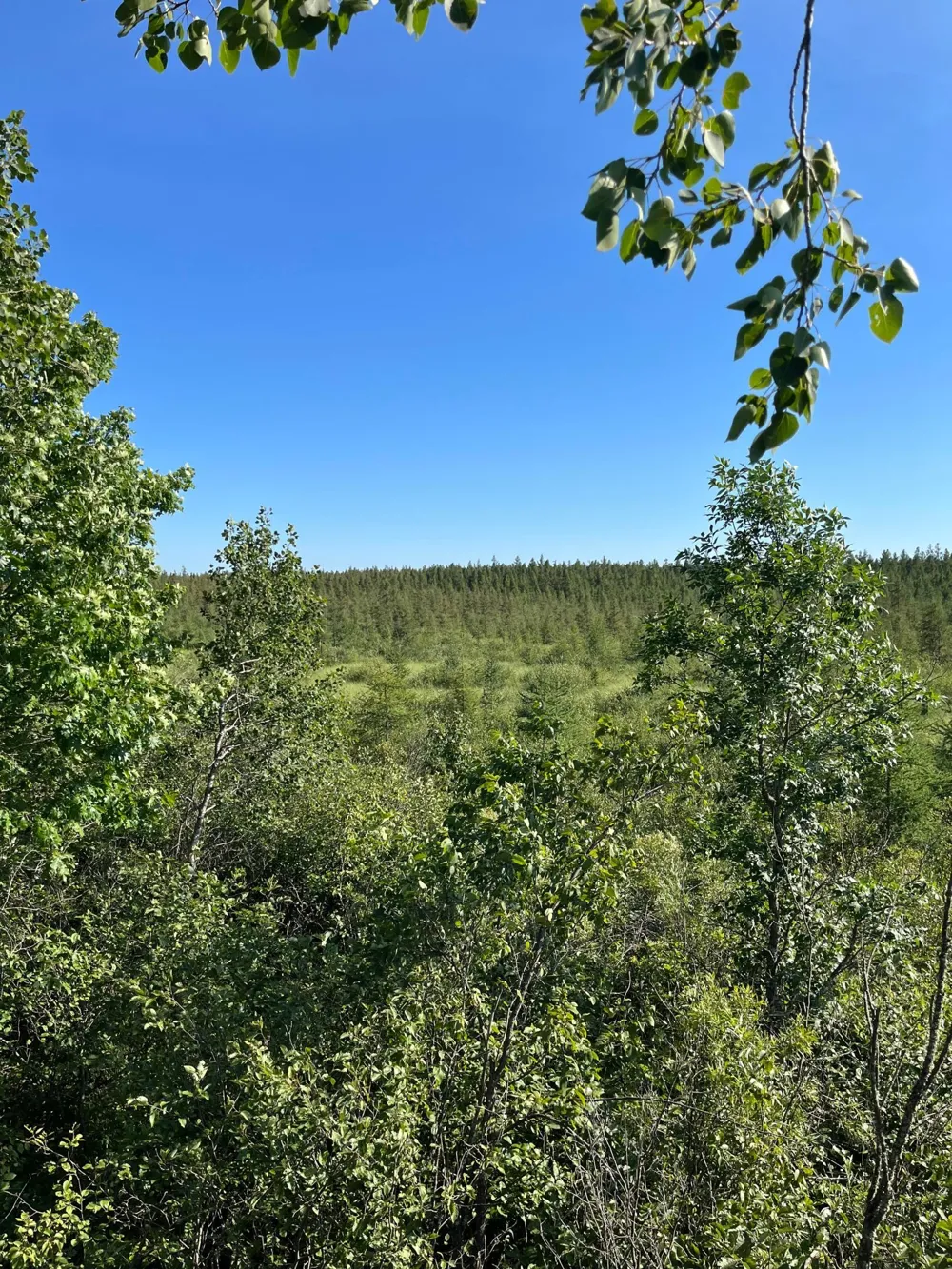 xxx U S Hwy 169 Aitkin, MN 56469