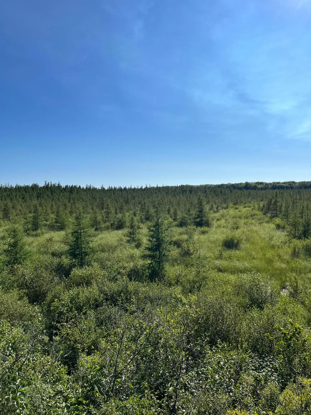 xxx U S Hwy 169 Aitkin, MN 56469