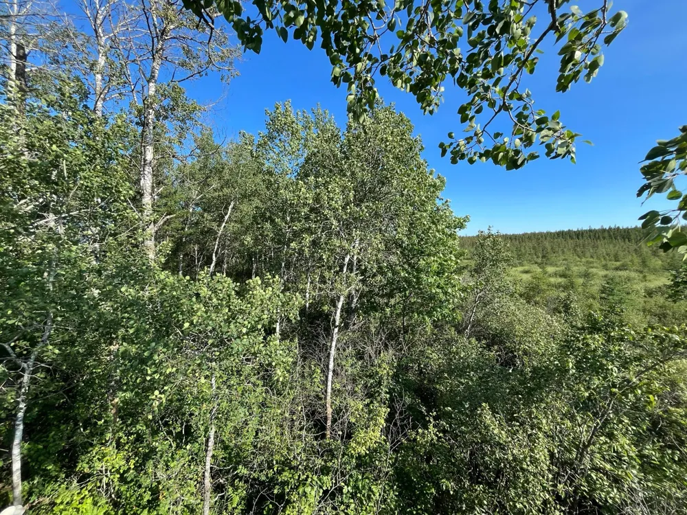 xxx U S Hwy 169 Aitkin, MN 56469