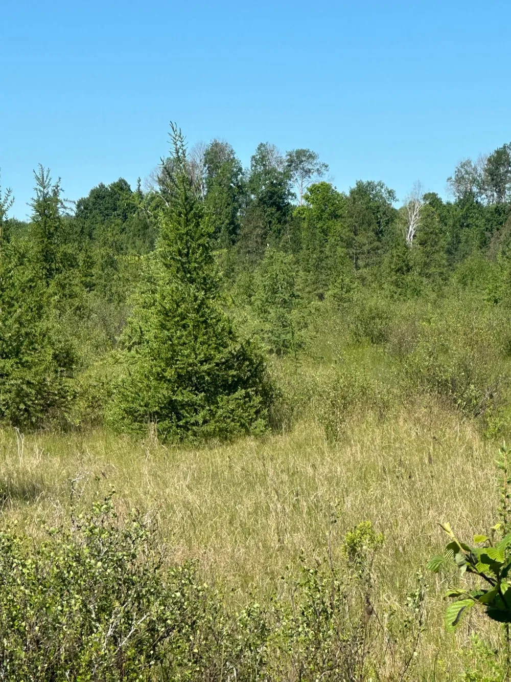 xxx U S Hwy 169 Aitkin, MN 56469