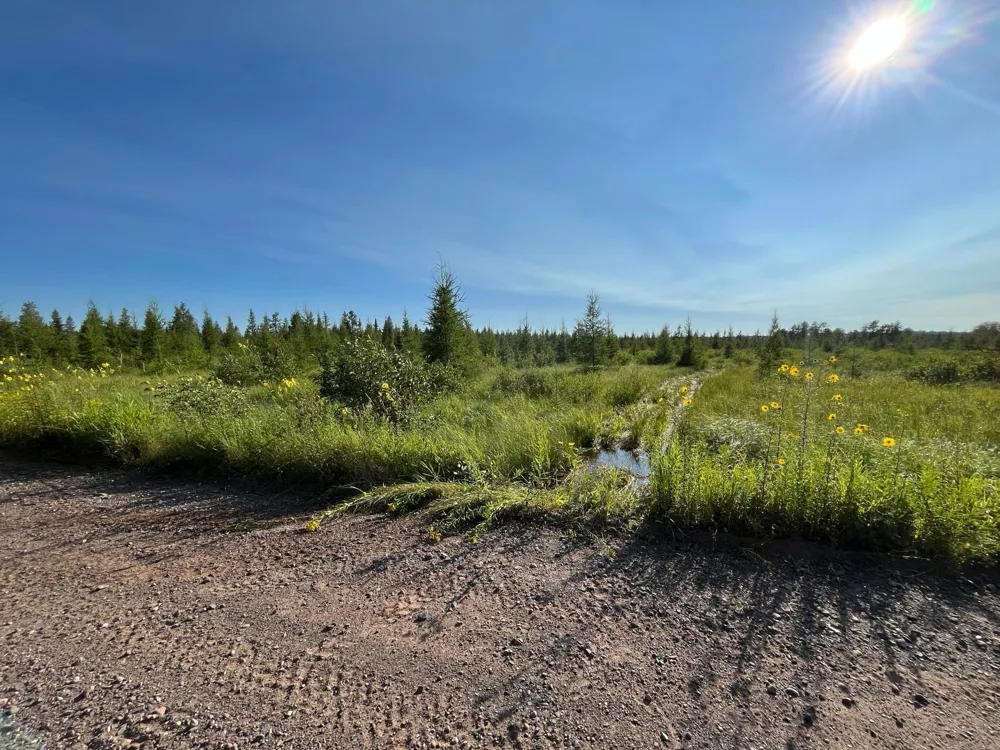 xxx U S Hwy 169 Aitkin, MN 56469
