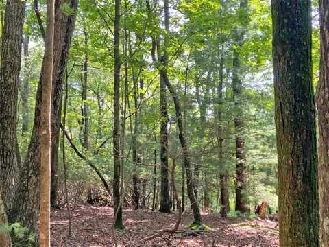 11AC T S Jarrard Road