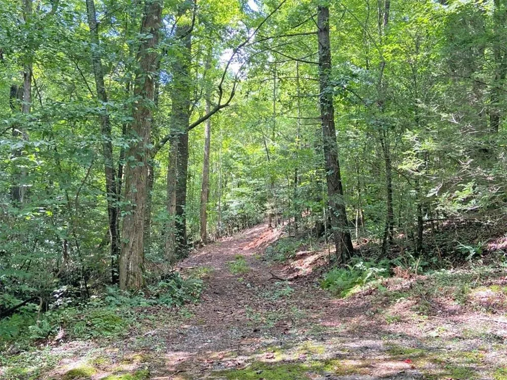 11AC T S Jarrard Road Dahlonega, GA 30533