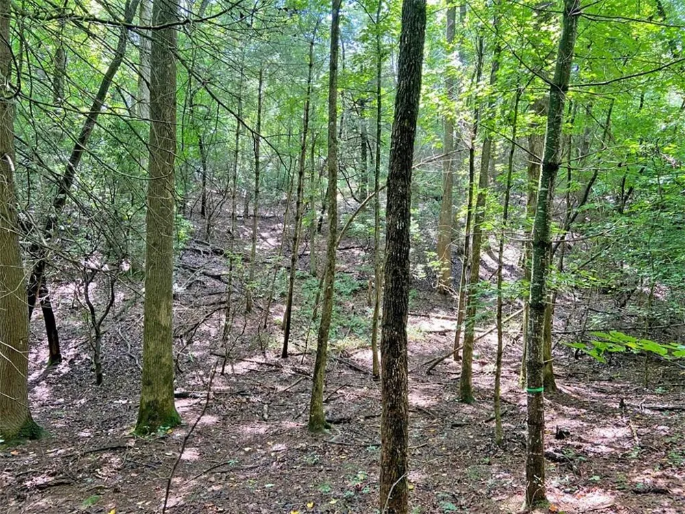11AC T S Jarrard Road Dahlonega, GA 30533